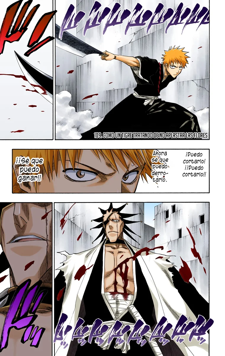 Bleach (Color) capítulo 109, página 2