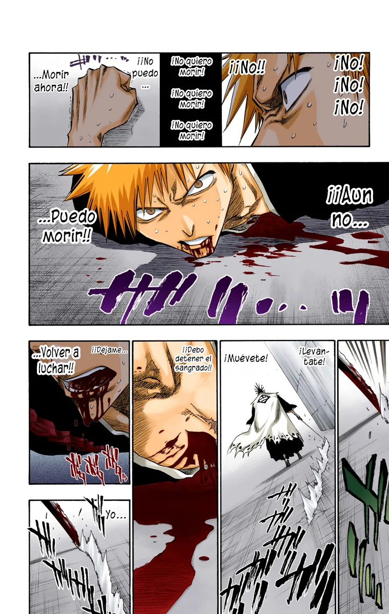 Bleach (Color) capítulo 110, página 5