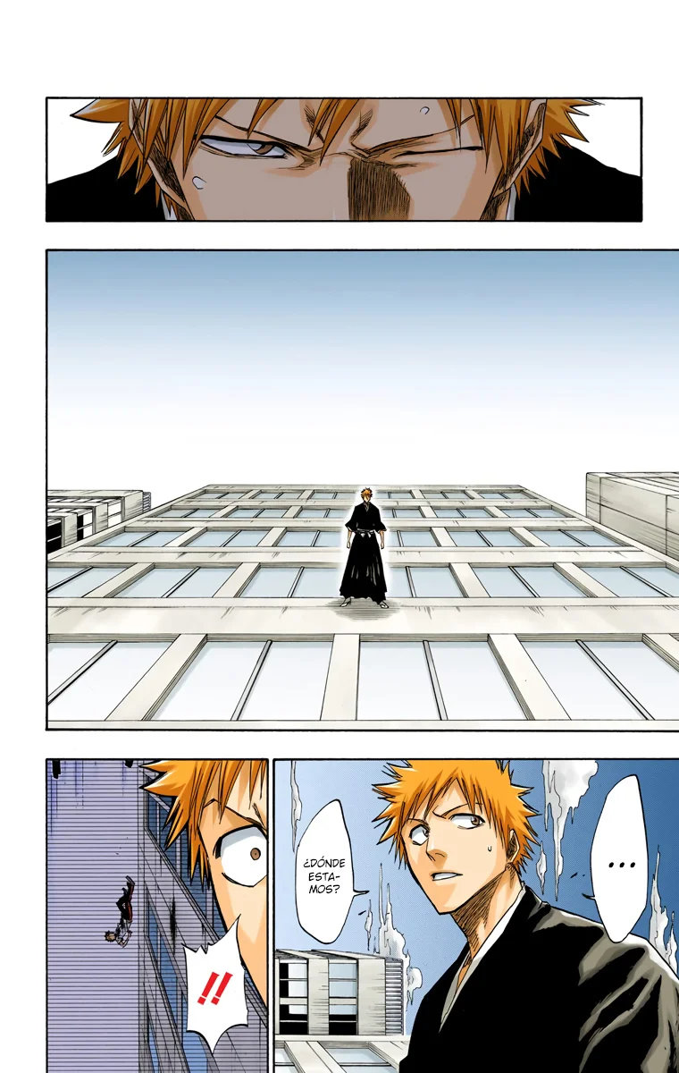 Bleach (Color) capítulo 110, página 13