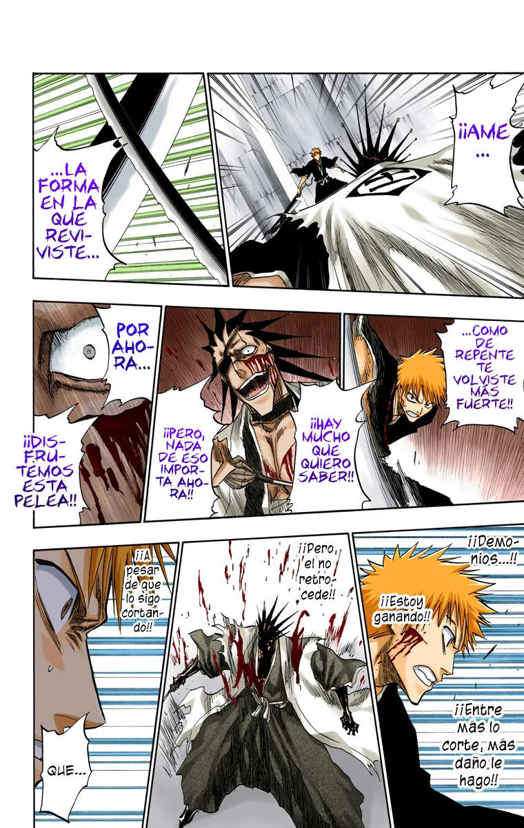 Bleach (Color) capítulo 112, página 15