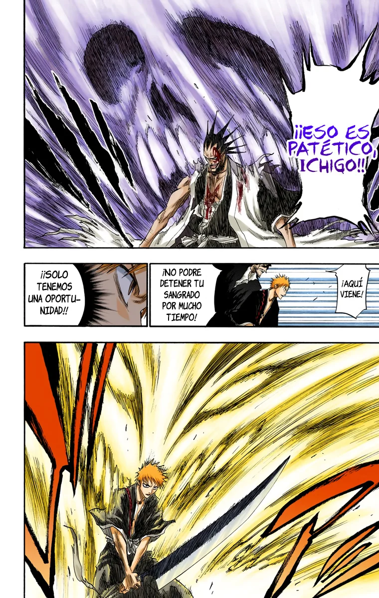 Bleach (Color) capítulo 113, página 13
