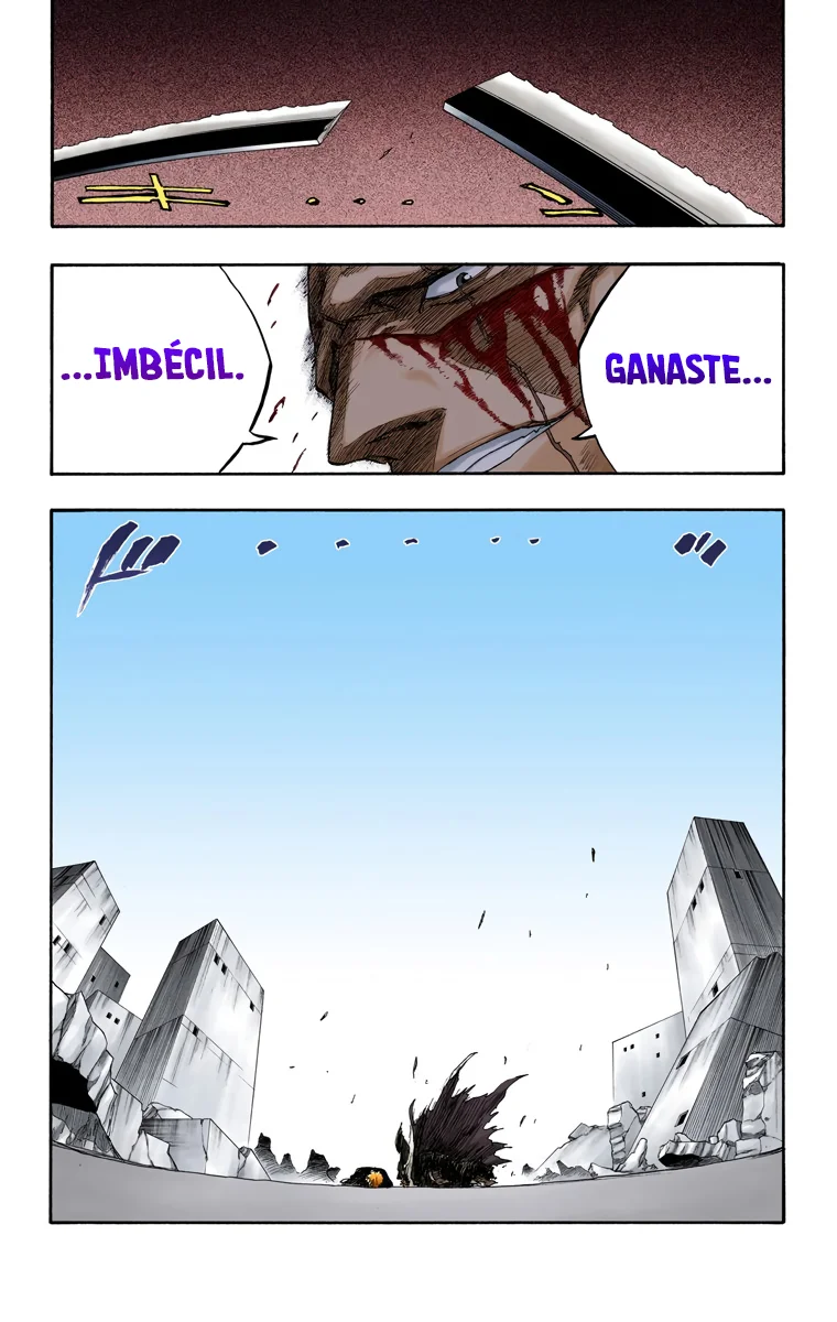 Bleach (Color) capítulo 113, página 19