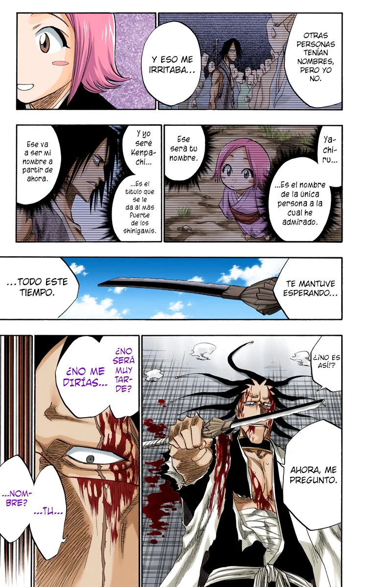 Bleach (Color) capítulo 114, página 12