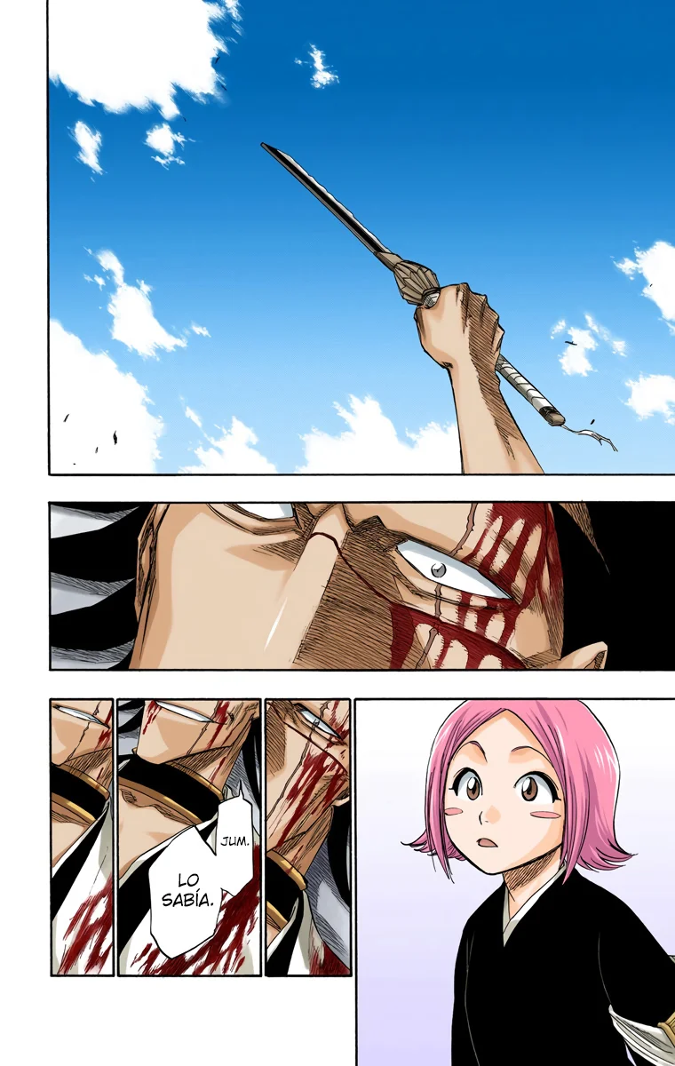 Bleach (Color) capítulo 114, página 13