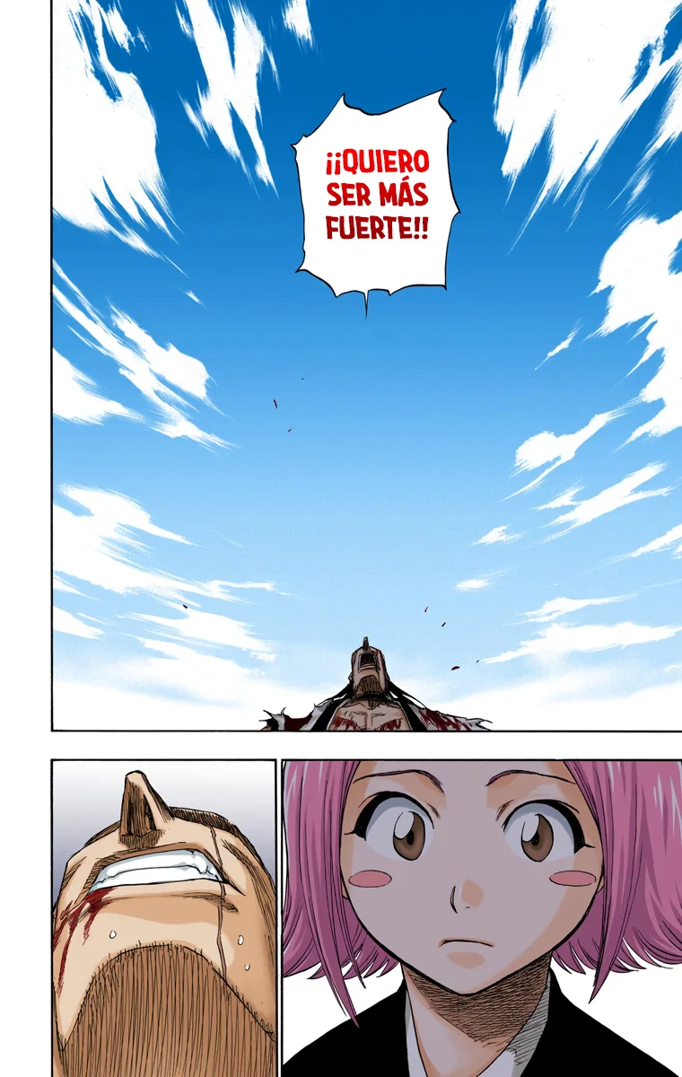 Bleach (Color) capítulo 114, página 15