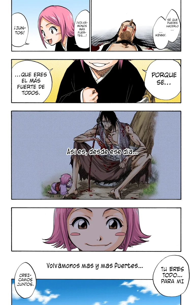 Bleach (Color) capítulo 114, página 17
