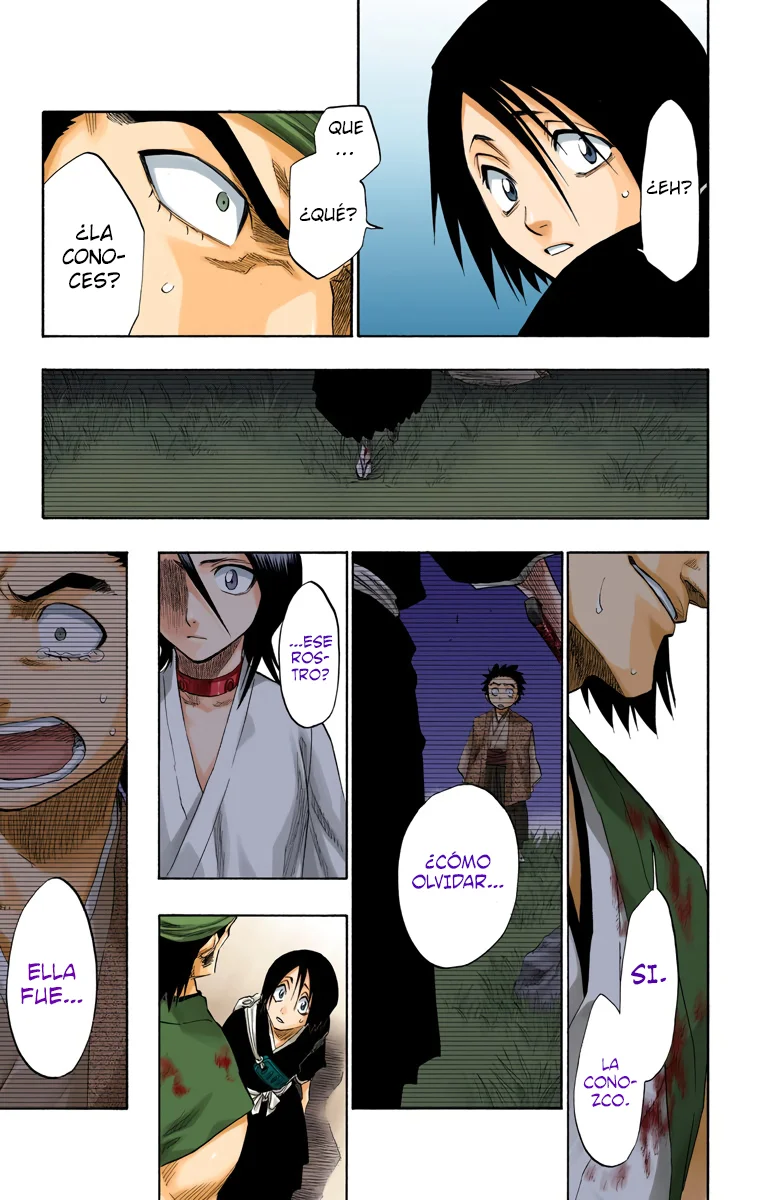 Bleach (Color) capítulo 115, página 14