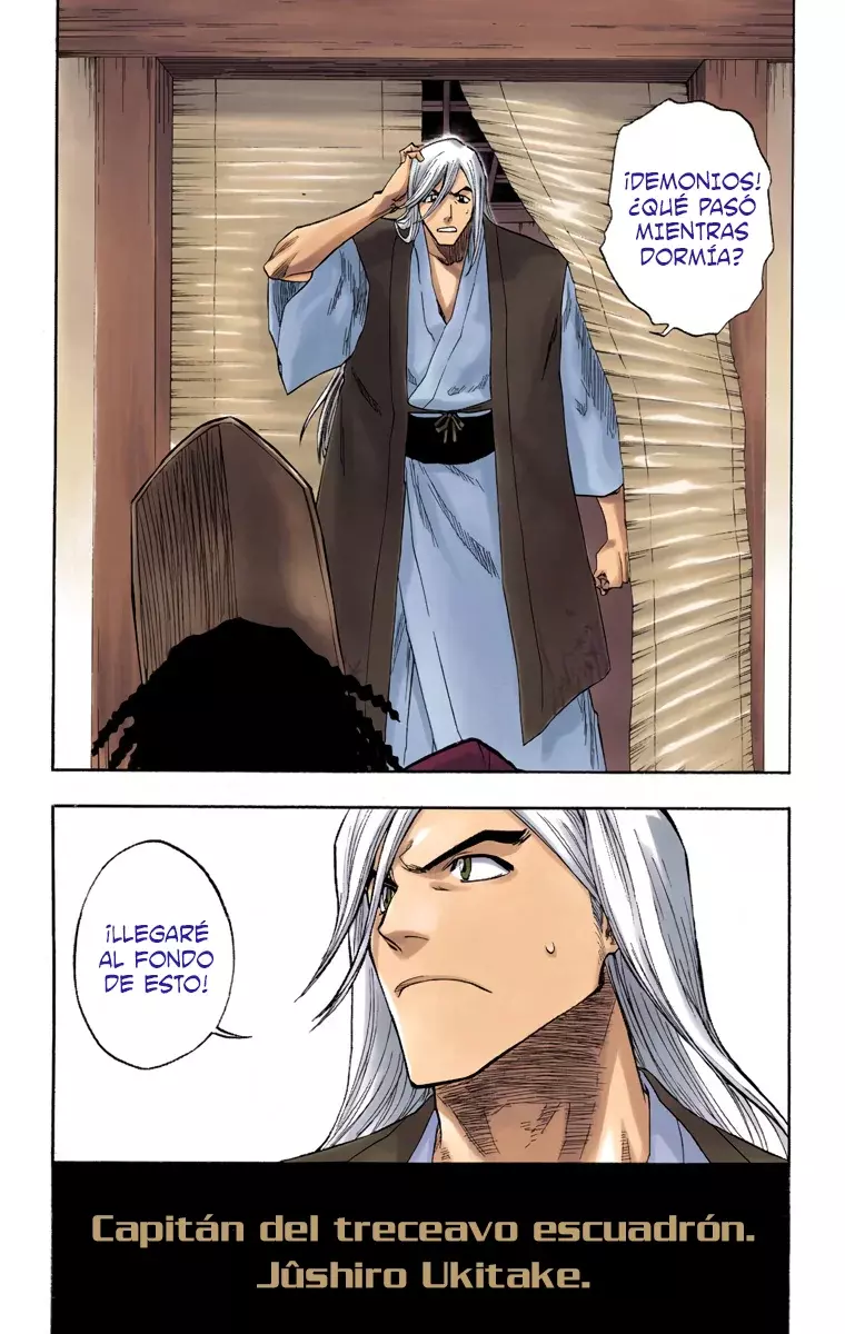 Bleach (Color) capítulo 116, página 8