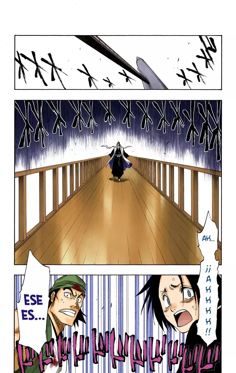 Bleach (Color) capítulo 116, página 9
