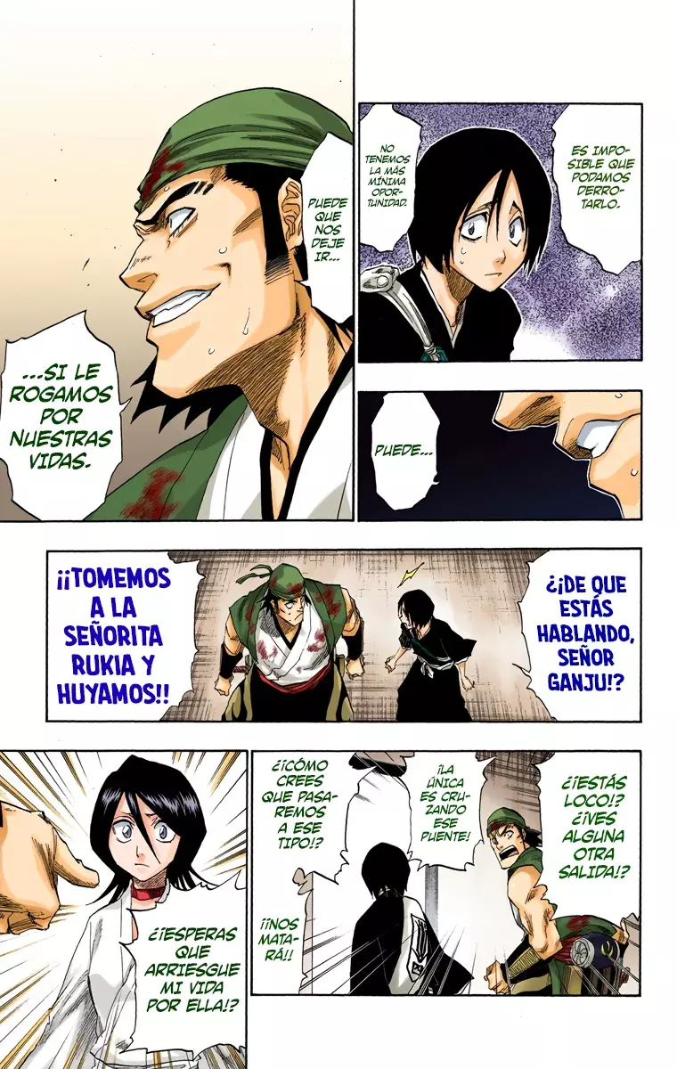 Bleach (Color) capítulo 116, página 11