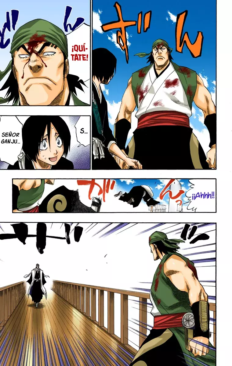 Bleach (Color) capítulo 116, página 17
