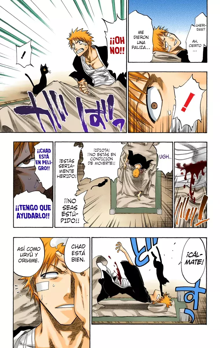 Bleach (Color) capítulo 116, página 21