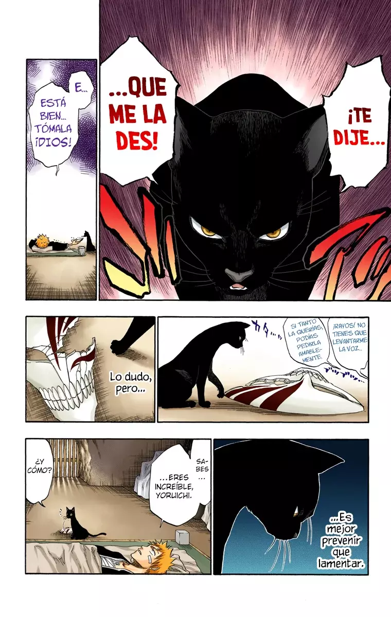 Bleach (Color) capítulo 116, página 24