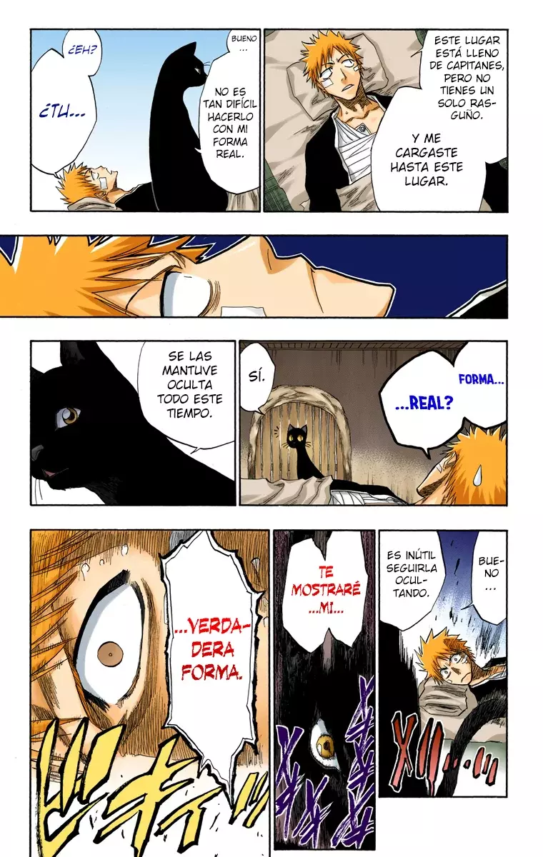 Bleach (Color) capítulo 116, página 25