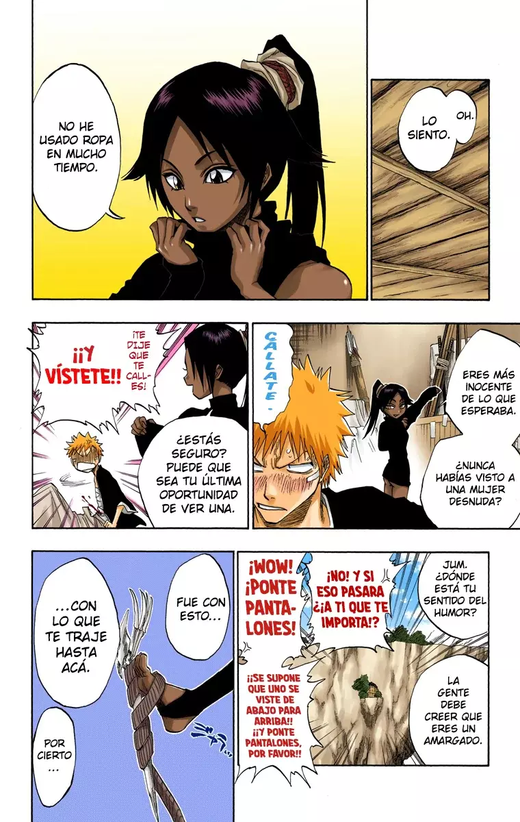 Bleach (Color) capítulo 116, página 28