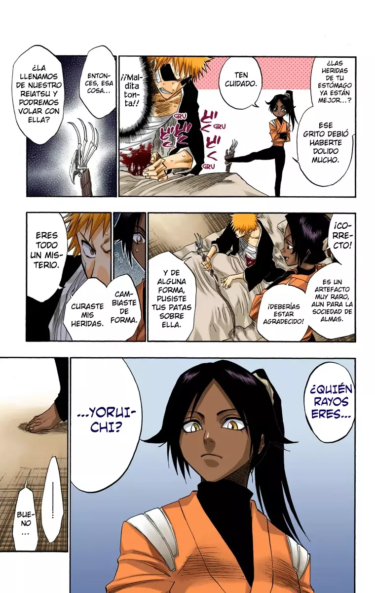 Bleach (Color) capítulo 116, página 29
