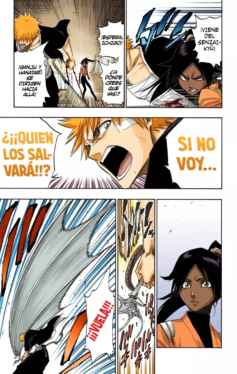 Bleach (Color) capítulo 116, página 31