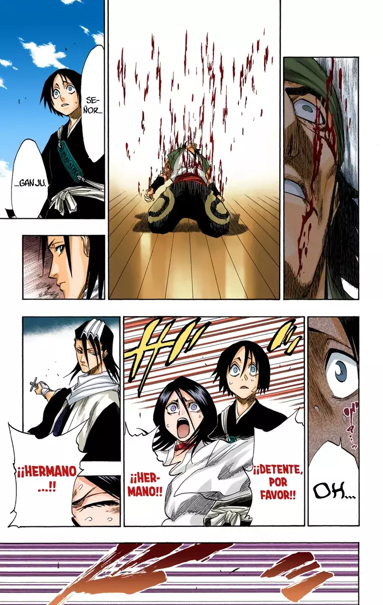 Bleach (Color) capítulo 116, página 43
