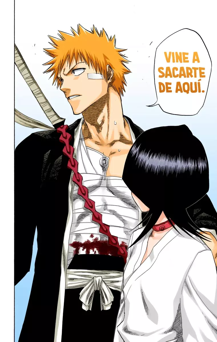 Bleach (Color) capítulo 116, página 51