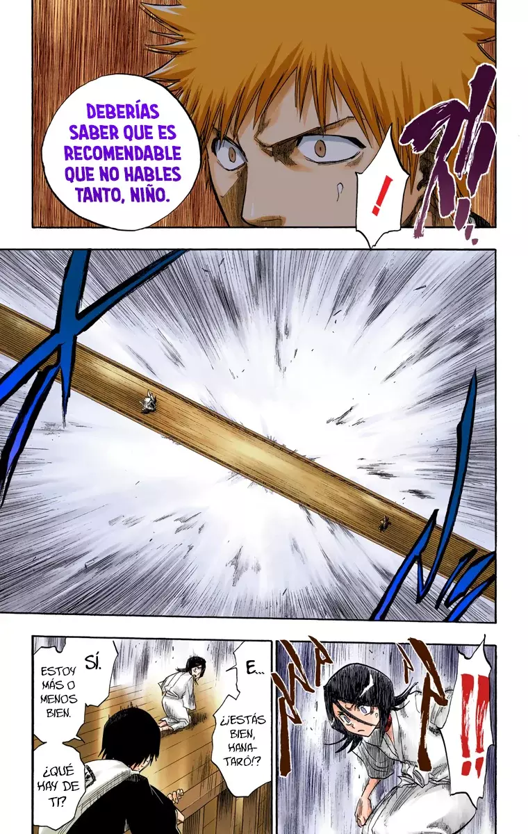Bleach (Color) capítulo 117, página 10