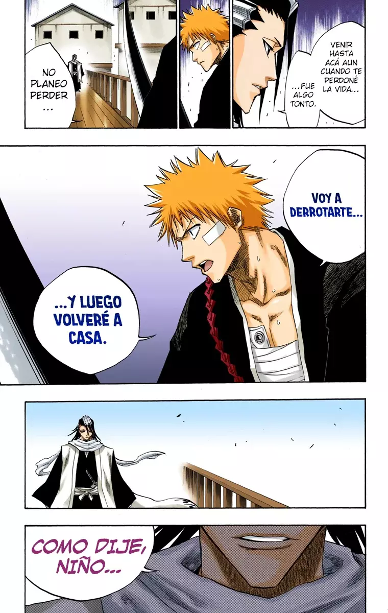 Bleach (Color) capítulo 117, página 12