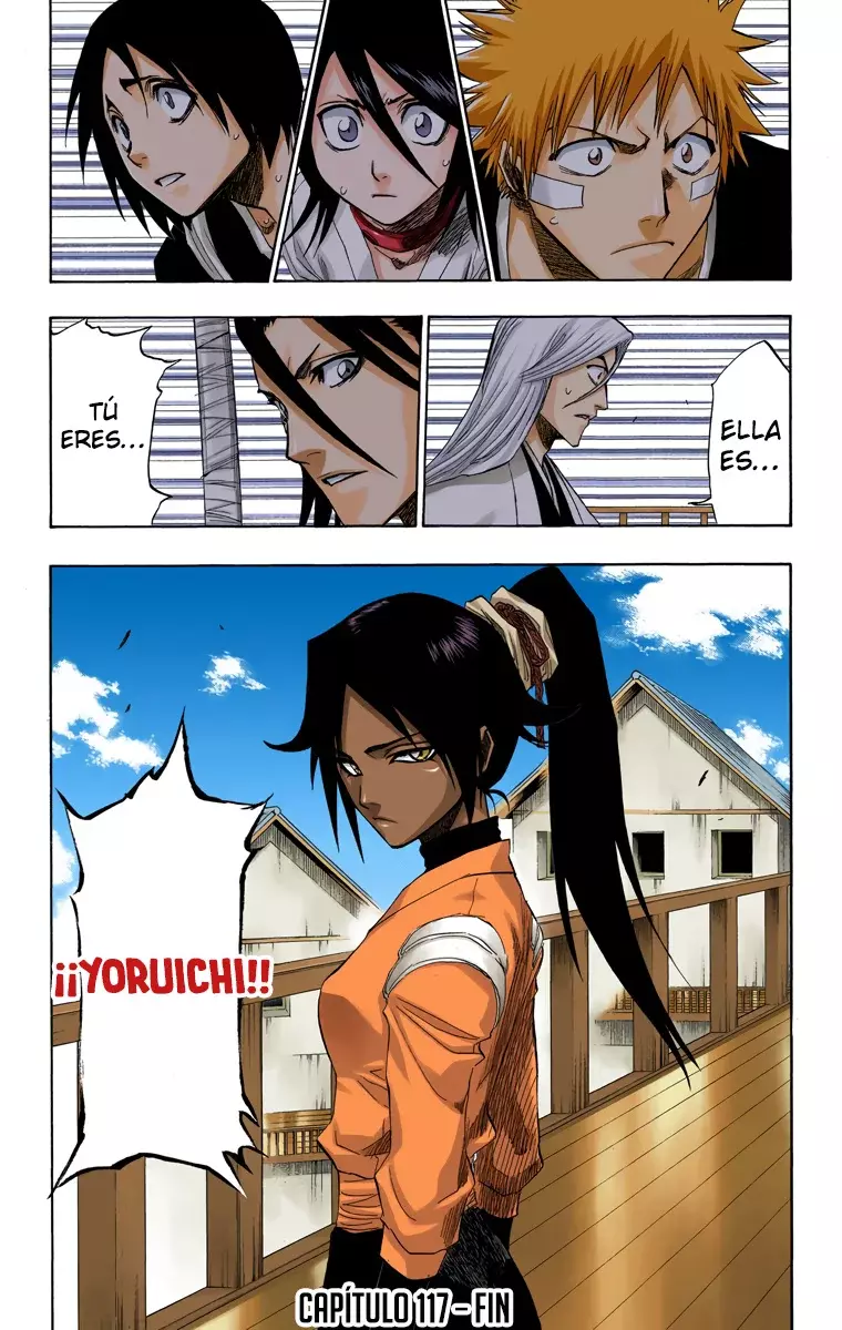 Bleach (Color) capítulo 117, página 20