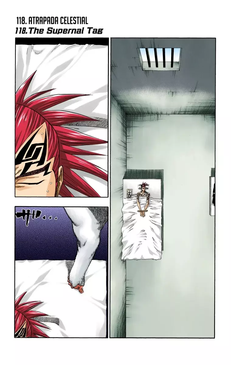 Bleach (Color) capítulo 118, página 2
