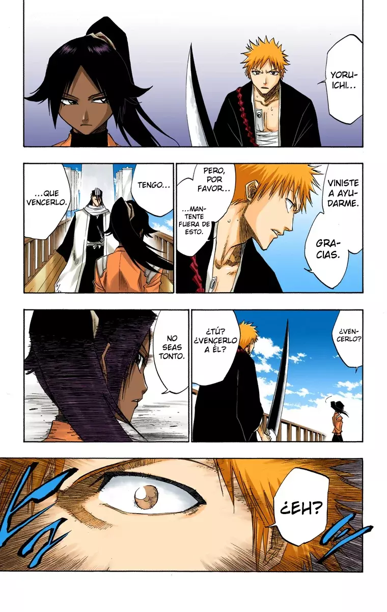 Bleach (Color) capítulo 118, página 10