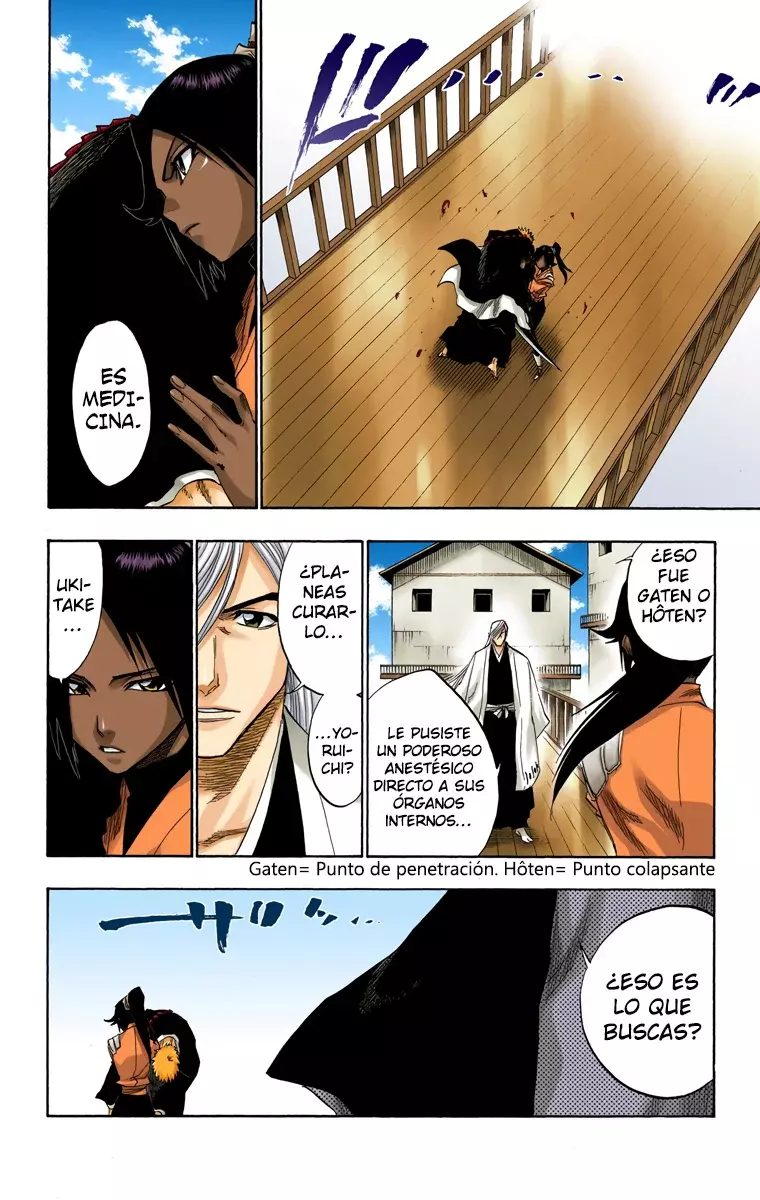 Bleach (Color) capítulo 118, página 13