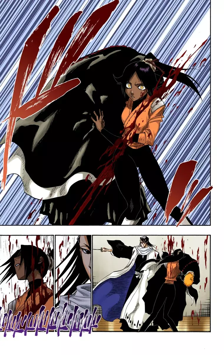 Bleach (Color) capítulo 118, página 18