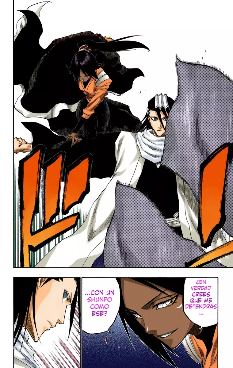 Bleach (Color) capítulo 118, página 19