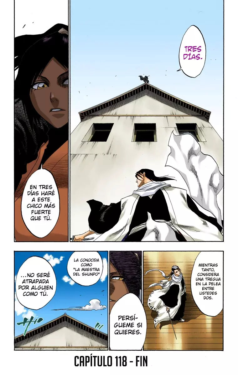 Bleach (Color) capítulo 118, página 20
