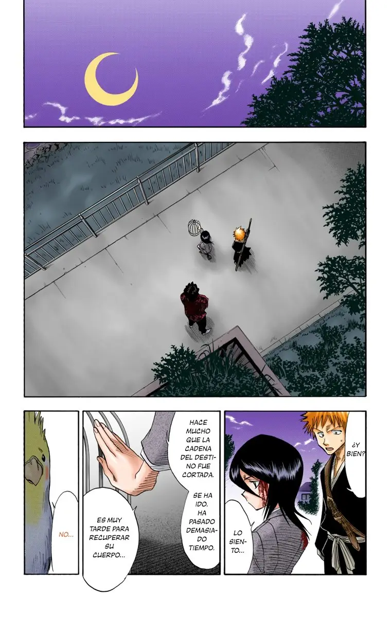Bleach (Color) capítulo 12, página 13