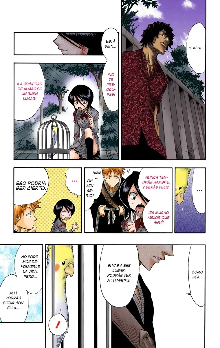 Bleach (Color) capítulo 12, página 14