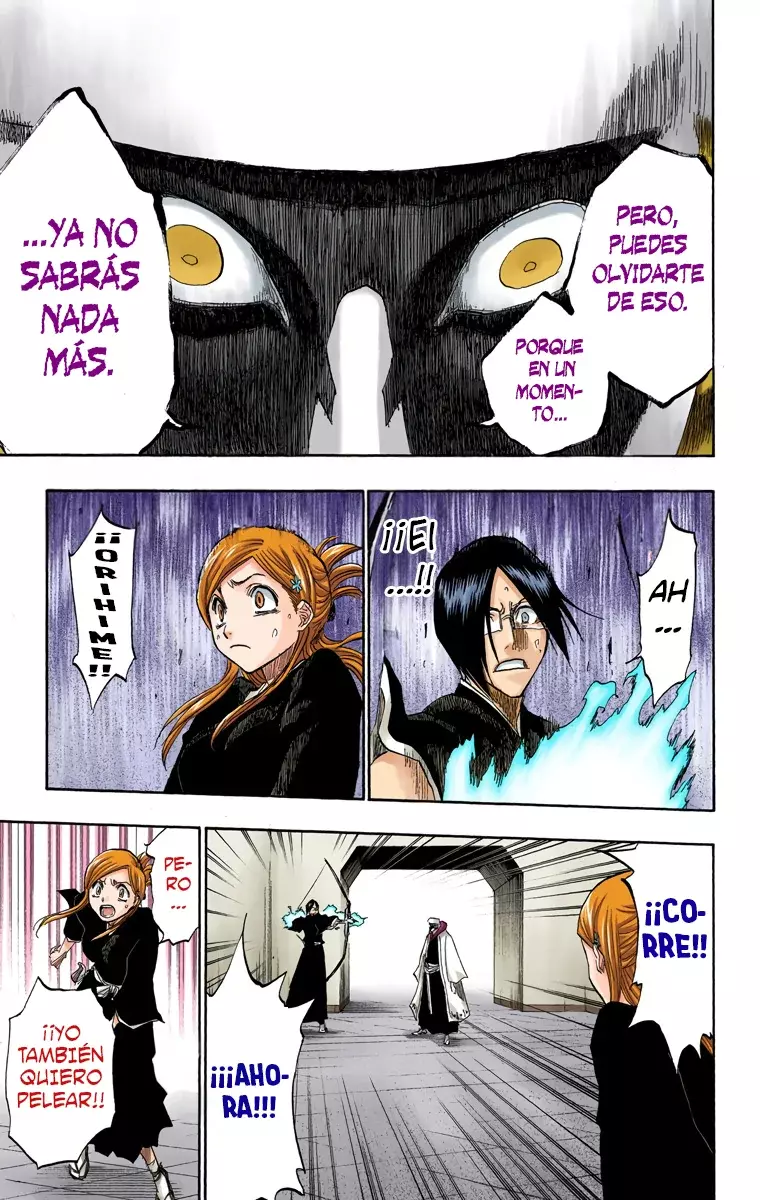 Bleach (Color) capítulo 121, página 16