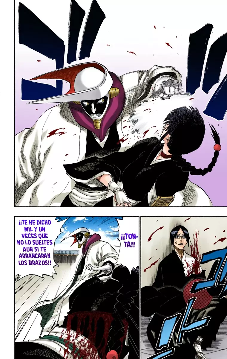 Bleach (Color) capítulo 122, página 19
