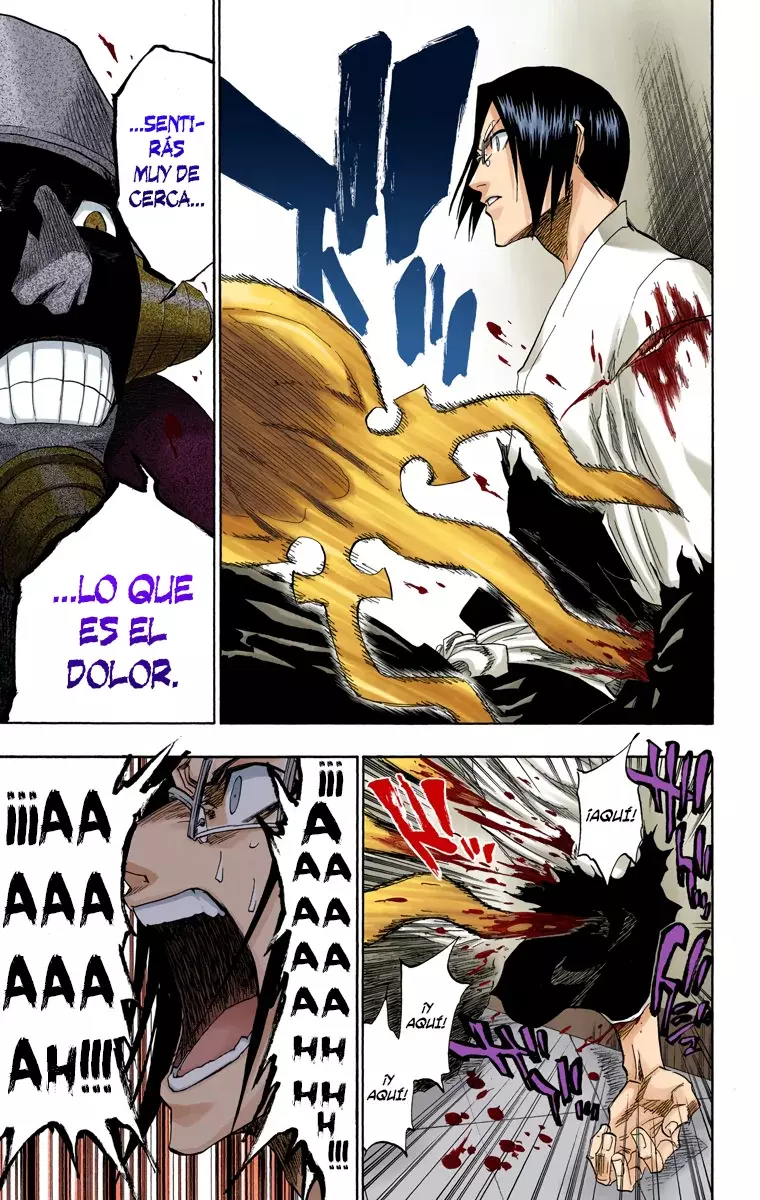 Bleach (Color) capítulo 123, página 12