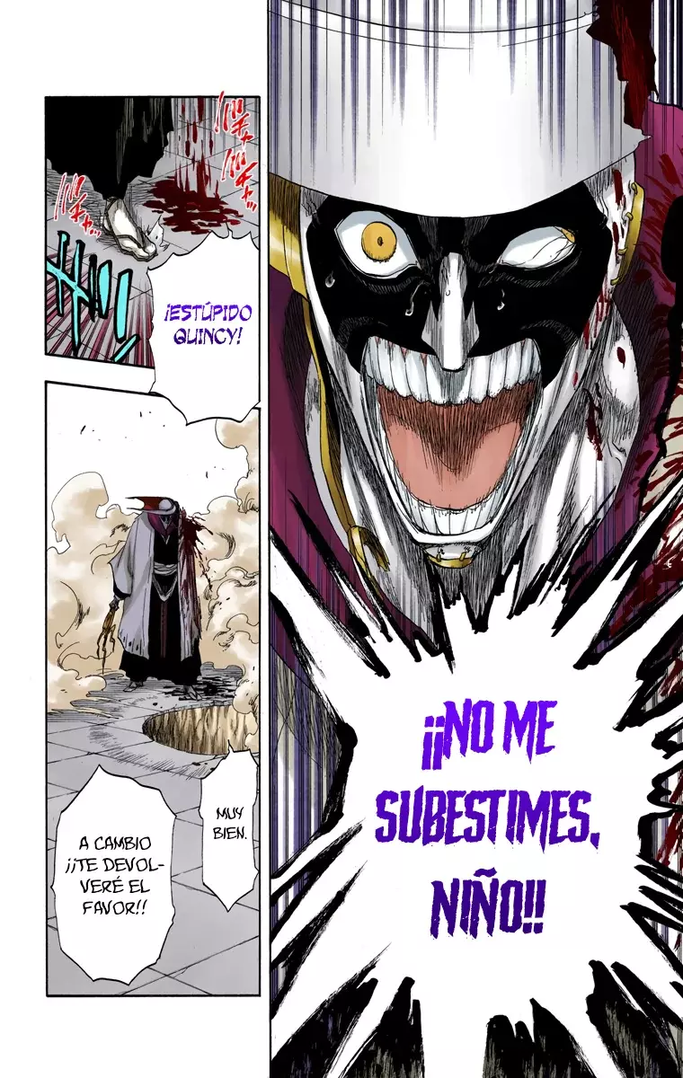 Bleach (Color) capítulo 125, página 13