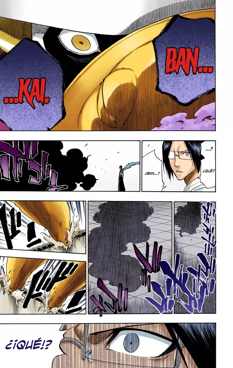 Bleach (Color) capítulo 125, página 14