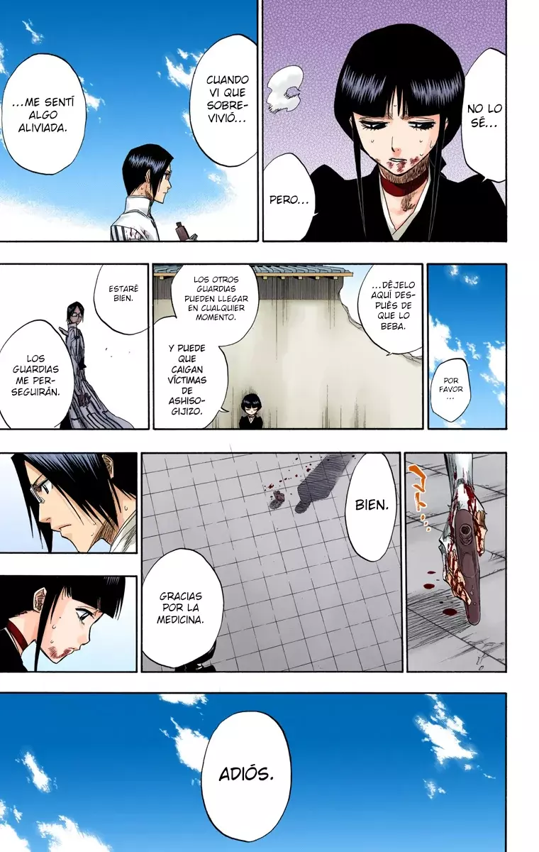 Bleach (Color) capítulo 126, página 12