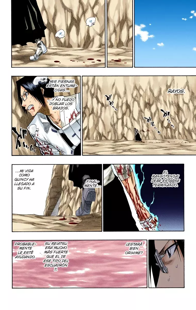 Bleach (Color) capítulo 126, página 13