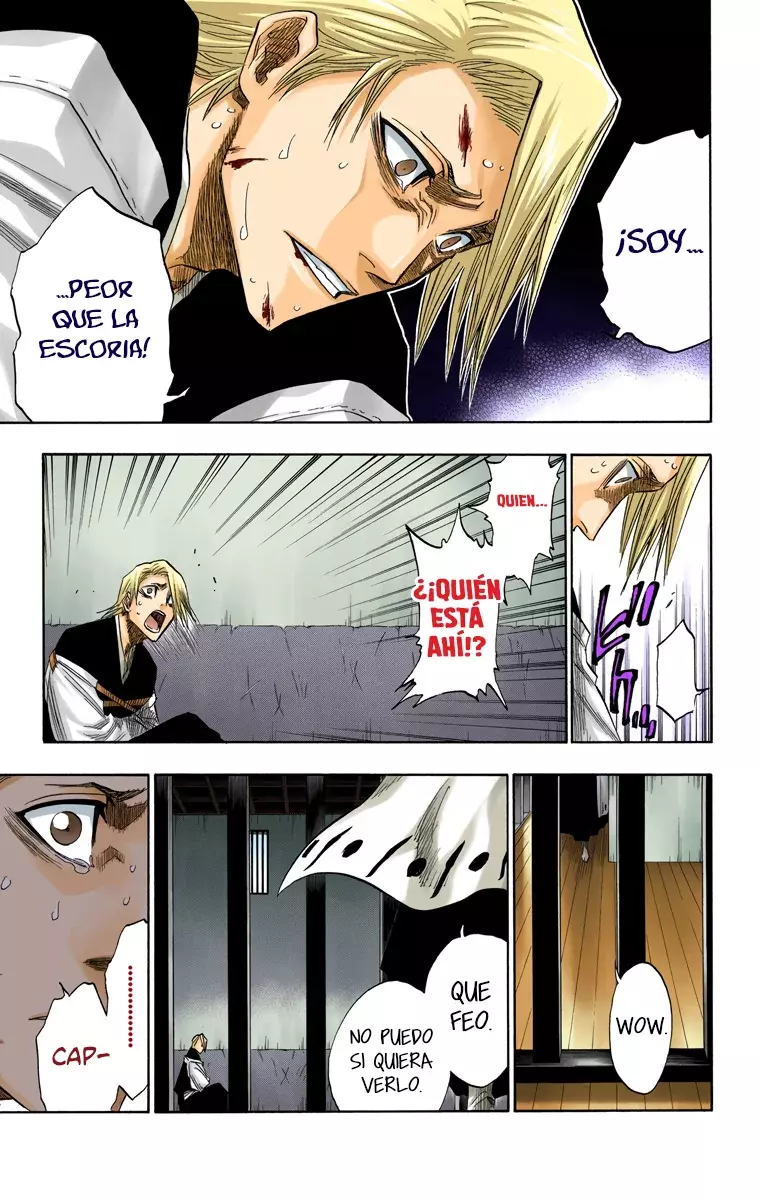 Bleach (Color) capítulo 127, página 15