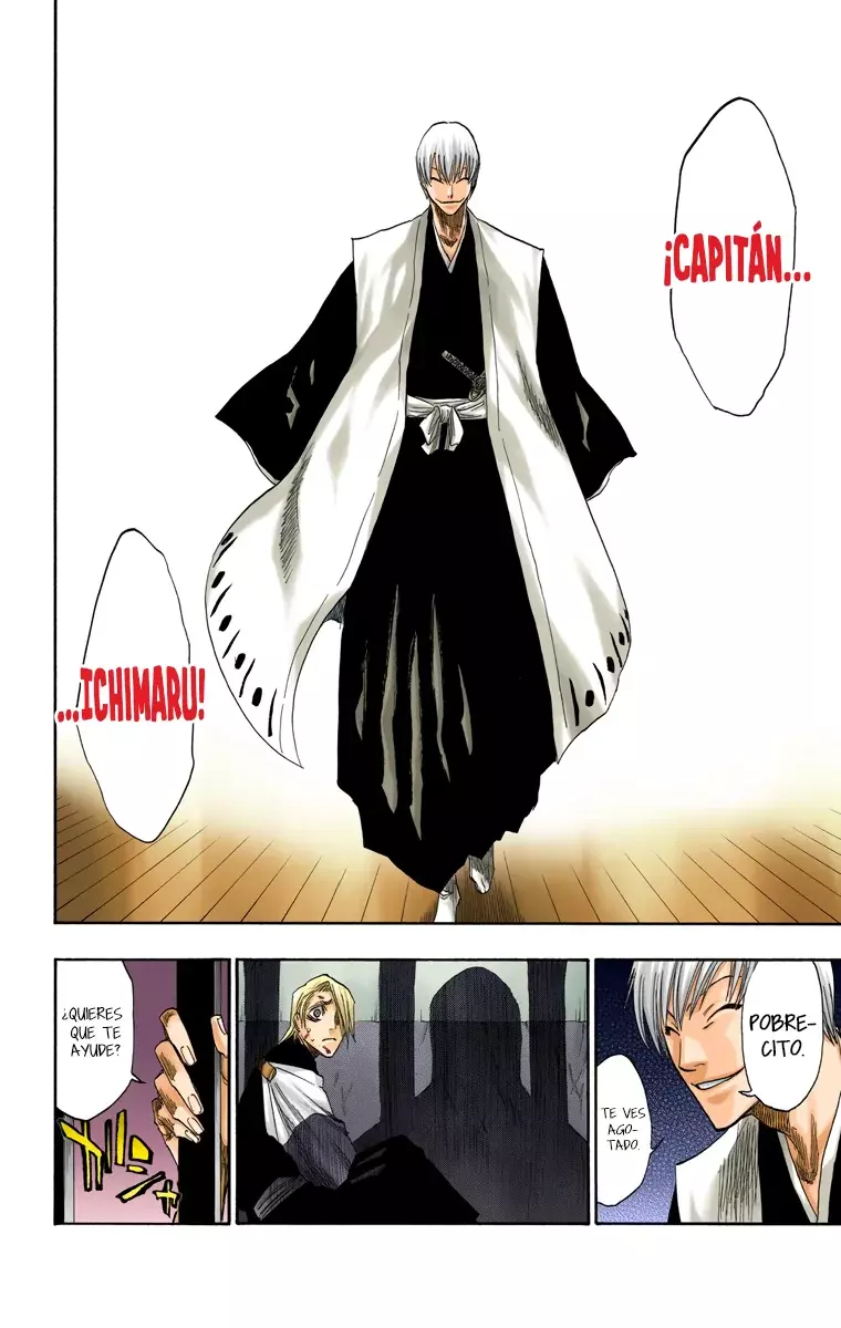 Bleach (Color) capítulo 127, página 16