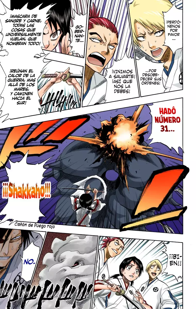 Bleach (Color) capítulo 130.5, página 26