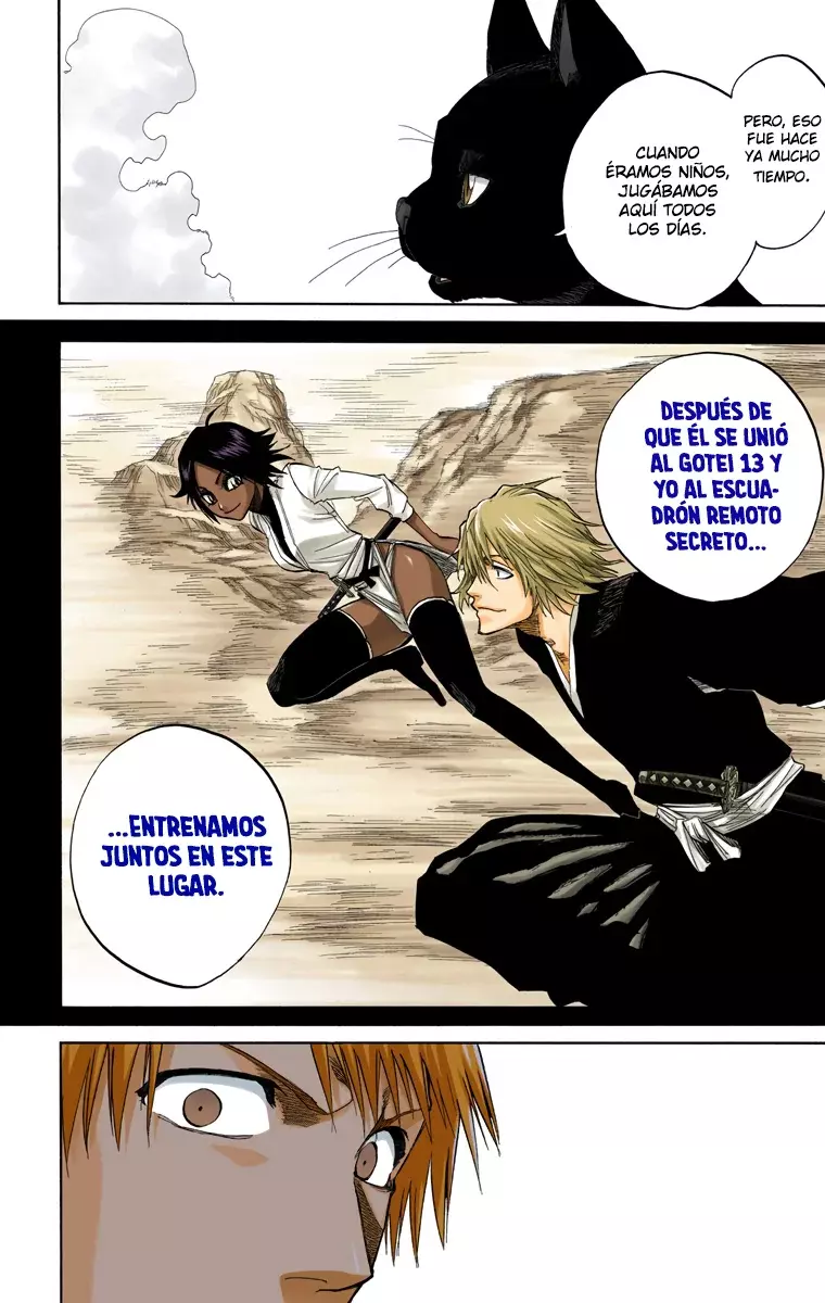 Bleach (Color) capítulo 130, página 11