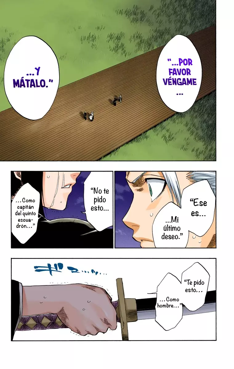Bleach (Color) capítulo 131, página 10