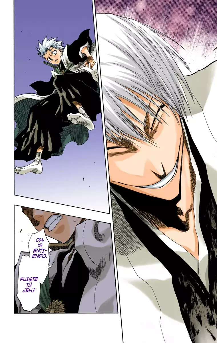 Bleach (Color) capítulo 131, página 17