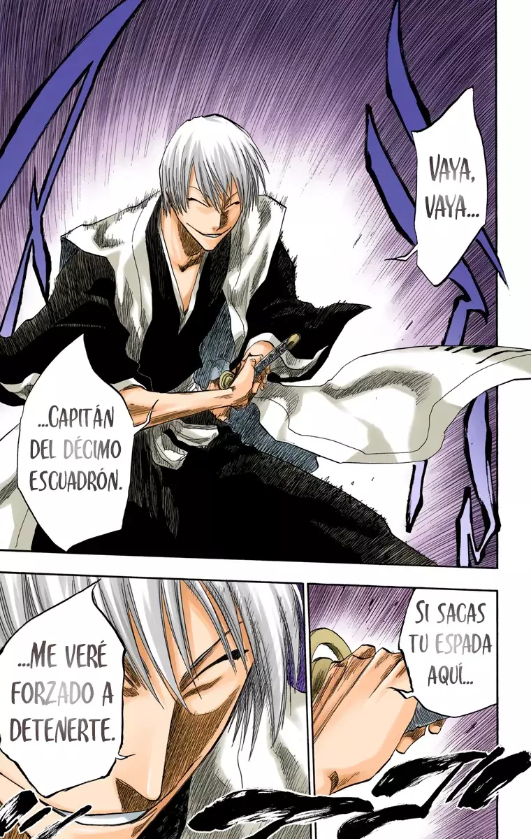 Bleach (Color) capítulo 131, página 24