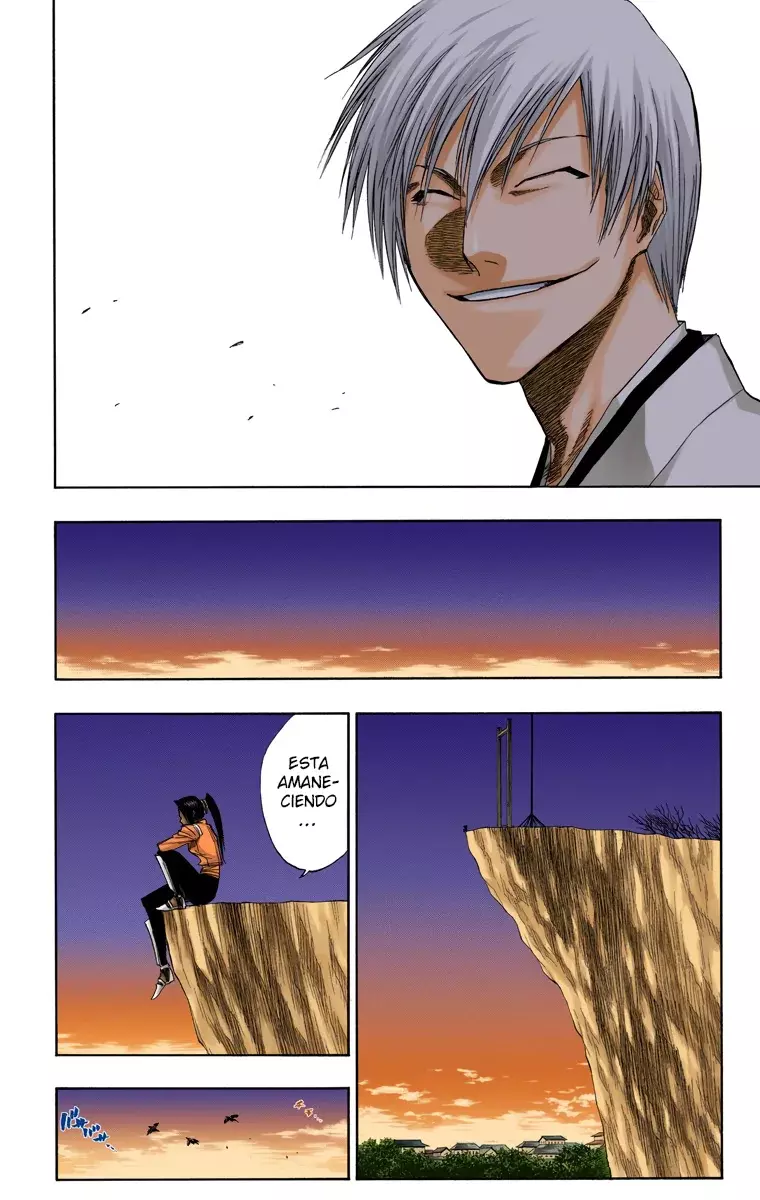 Bleach (Color) capítulo 132, página 15
