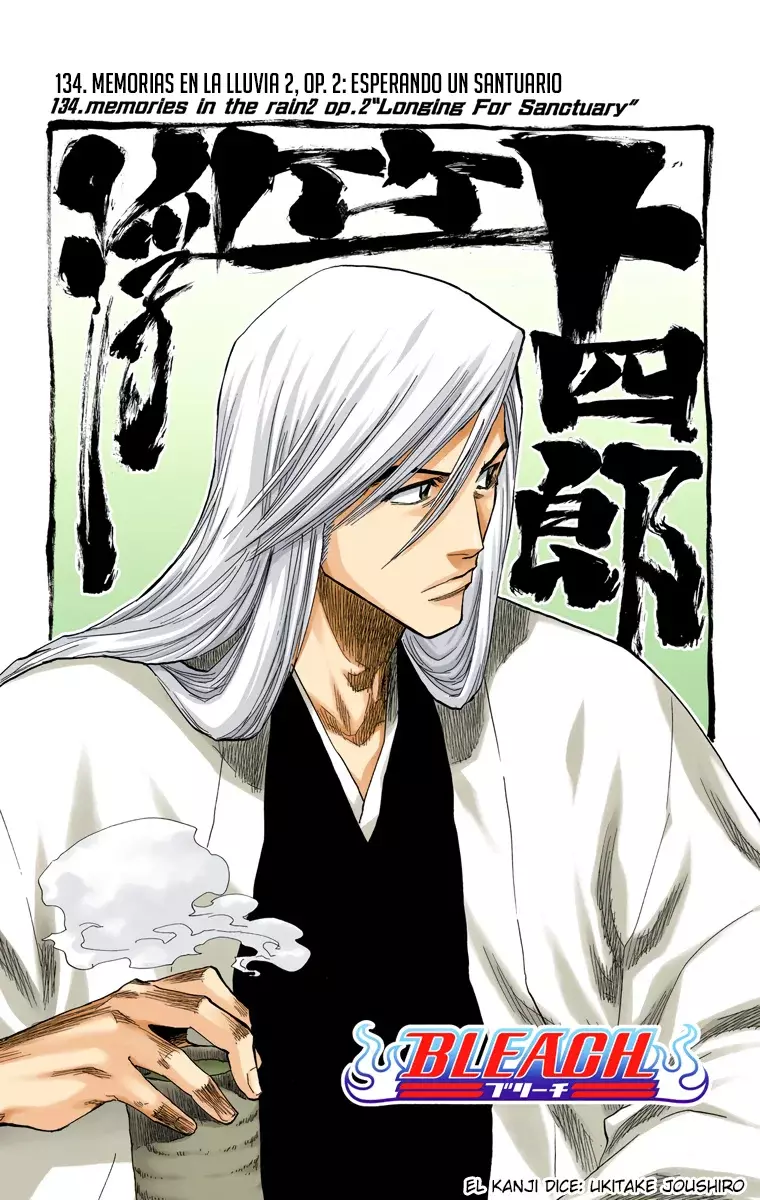 Bleach (Color) capítulo 134, página 7